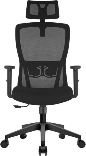 Office Chair, Desk Chair with Adjus...