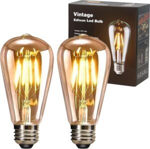 YOUDIAN LED Edison Bulb, Vintage Li...