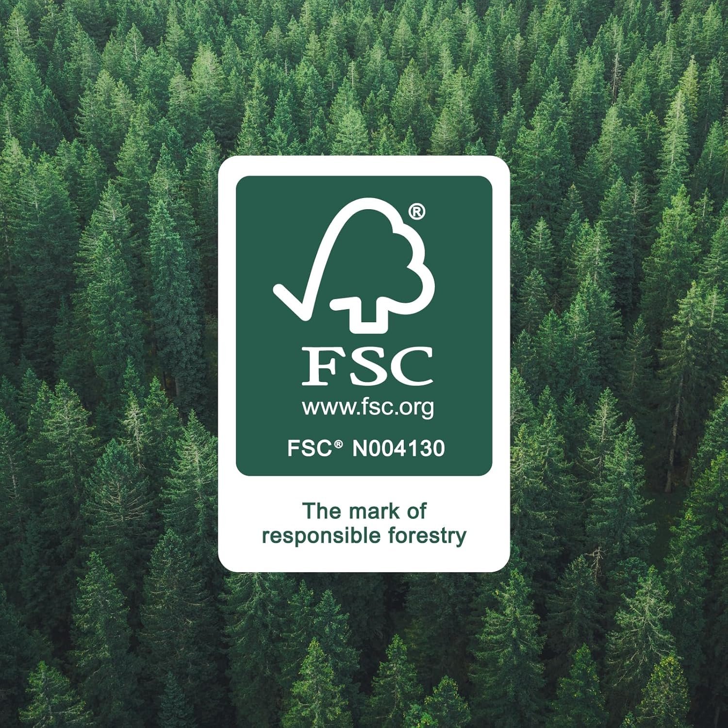 by Amazon Ultra Absorbent TAD Kitchen Roll, 4 Rolls (Pack of 1), 51 Sheets per Roll, FSC Certified - Image 9